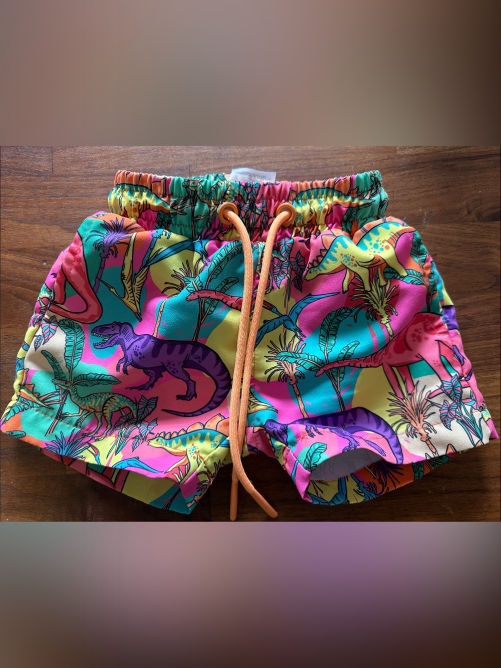 Kids Neon Dino Swim Trunks - Bright Multi